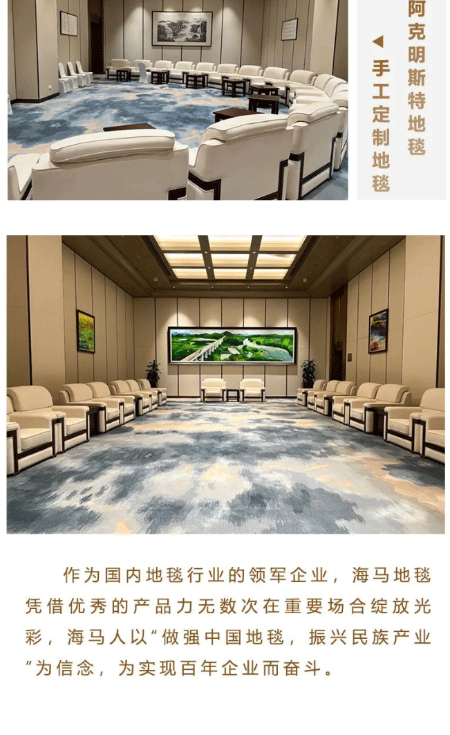【海馬地毯工程案例】海馬地毯助力-第三屆中國(guó)-非洲經(jīng)貿(mào)博覽會(huì)_10.gif